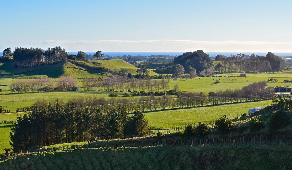 A Touch Of Tuscany At Hillsborough New Plymouth Exteriér fotografie